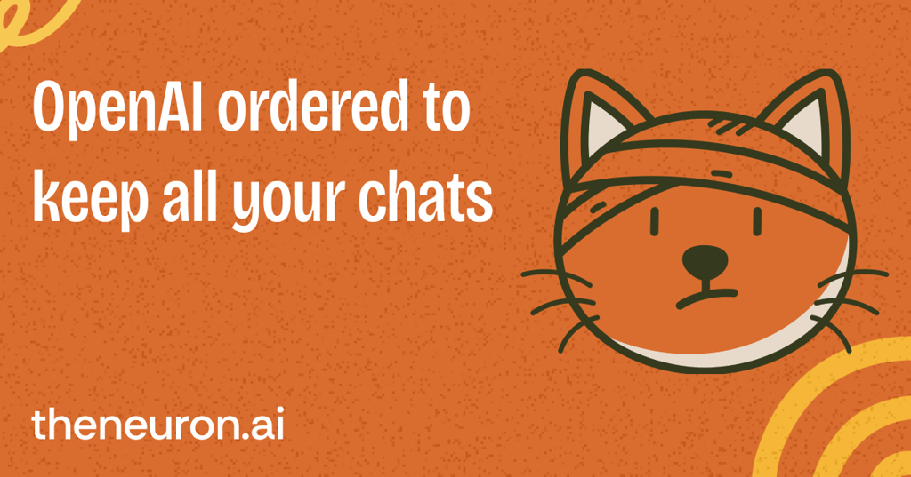 😺 Here's what data AI companies keep on you... Thumbnail