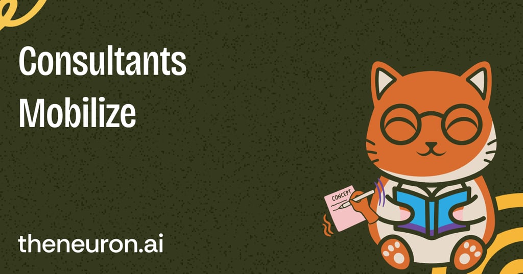 😺 Consultants mobilize Thumbnail